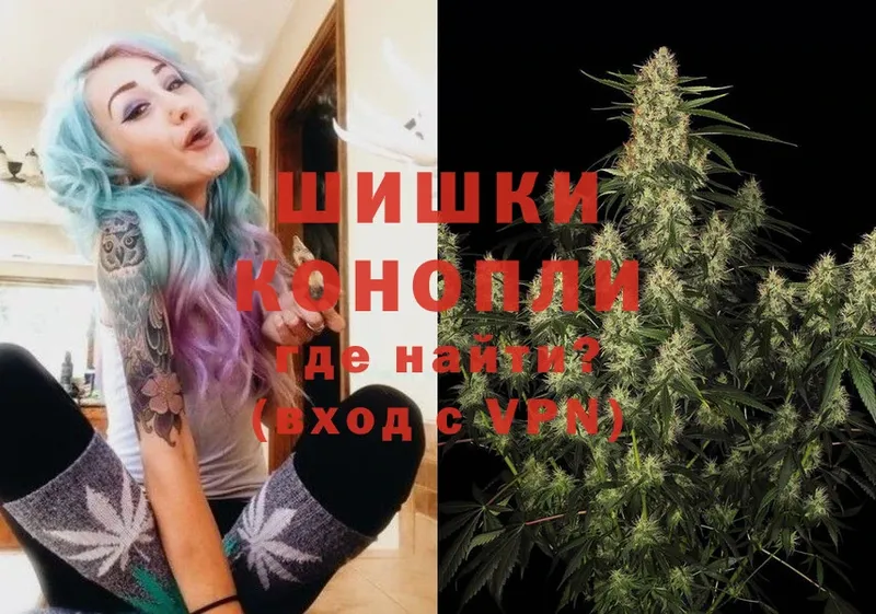 купить  цена  Серафимович  Канабис OG Kush 